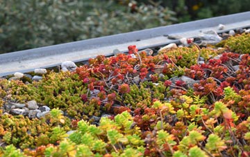 the cost of Sarsden Halt green roof installation