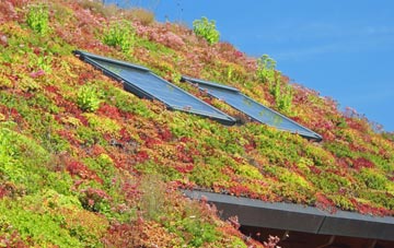 Sarsden Halt living roof systems