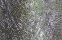 Sarsden Halt fibreglass roof work